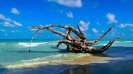 Transfer to Havelock Island - Kalapathar Beach